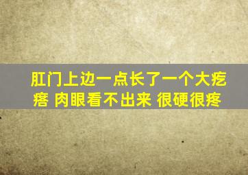 肛门上边一点长了一个大疙瘩 肉眼看不出来 很硬很疼